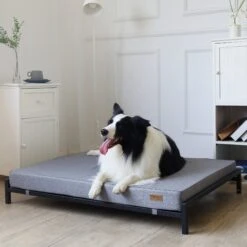 KOPEKS Orthopedic Elevated Bolster Dog Bed With Removable Cover 13 KOPEKS Orthopedic Elevated Bolster Dog Bed With Removable Cover -Dog Supplies Shop 255295 PT5. AC SS1800 V1602119465