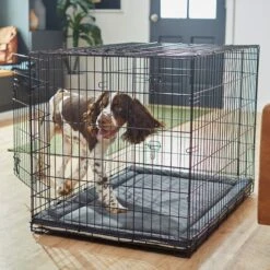 Frisco Self Warming Dog Crate Mat 13 Frisco Self Warming Dog Crate Mat -Dog Supplies Shop 255337 PT5. AC SS1800 V1616102293