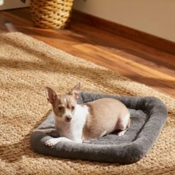 Frisco Fold & Carry Single Door Collapsible Wire Dog Crate & Frisco Quilted Plush Dog Crate Mat 11 Frisco Fold & Carry Single Door Collapsible Wire Dog Crate & Frisco Quilted Plush Dog Crate Mat -Dog Supplies Shop 255501 PT4. AC SS1800 V1604097719