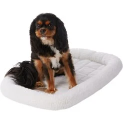 Frisco Heavy Duty Fold & Carry Single Door Collapsible Wire Dog Crate & Frisco Quilted Dog Crate Mat 11 Frisco Heavy Duty Fold & Carry Single Door Collapsible Wire Dog Crate & Frisco Quilted Dog Crate Mat -Dog Supplies Shop 255551 PT4. AC SS1800 V1604096523