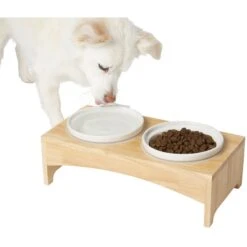 Dog Supplies Shop 6 Frisco Ceramic Dog & Cat Double Diner With Elevated Wood Stand