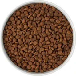 Frisco Paw Prints Non-skid Ceramic Bowl -Dog Supplies Shop 256072 PT5. AC SS1800 V1615312318