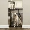 Carlson Pet Products 36-in Extra Tall Dog Gate, Large 2 Carlson Pet Products 36-in Extra Tall Dog Gate, Large -Dog Supplies Shop 256332 MAIN. AC SS1800 V1602266474