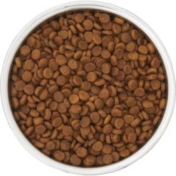 Frisco Insulated Two-Toned Non-Skid Stainless Steel Dog & Cat Bowl 13 Frisco Insulated Two-Toned Non-Skid Stainless Steel Dog & Cat Bowl -Dog Supplies Shop 257168 PT4. AC SS1800 V1612367255