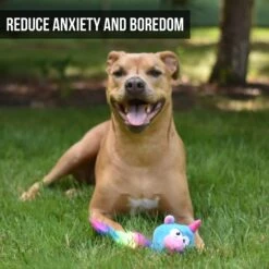 Hyper Pet Doggie Pal Unicorn Squeaky Interactive Plush Dog Toy -Dog Supplies Shop 258938 PT1. AC SS1800 V1605883314