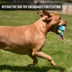 Hyper Pet Doggie Pal Unicorn Squeaky Interactive Plush Dog Toy -Dog Supplies Shop 258938 PT3. AC SS1800 V1605914537