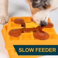 OurPets Waffle Squeaky Treat Dispensing Puzzle Dog & Cat Toy -Dog Supplies Shop 258949 PT4. AC SS1800 V1605915728