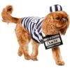 Frisco Prisoner Dog & Cat Costume -Dog Supplies Shop 260933 MAIN. AC SS1800 V1624400089
