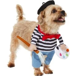 Frisco Front Walking French Artist Dog & Cat Costume -Dog Supplies Shop 260956 PT3. AC SS1800 V1624453662