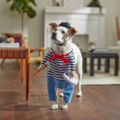 Frisco Front Walking French Artist Dog & Cat Costume -Dog Supplies Shop 260956 PT8. AC SS1800 V1689623916