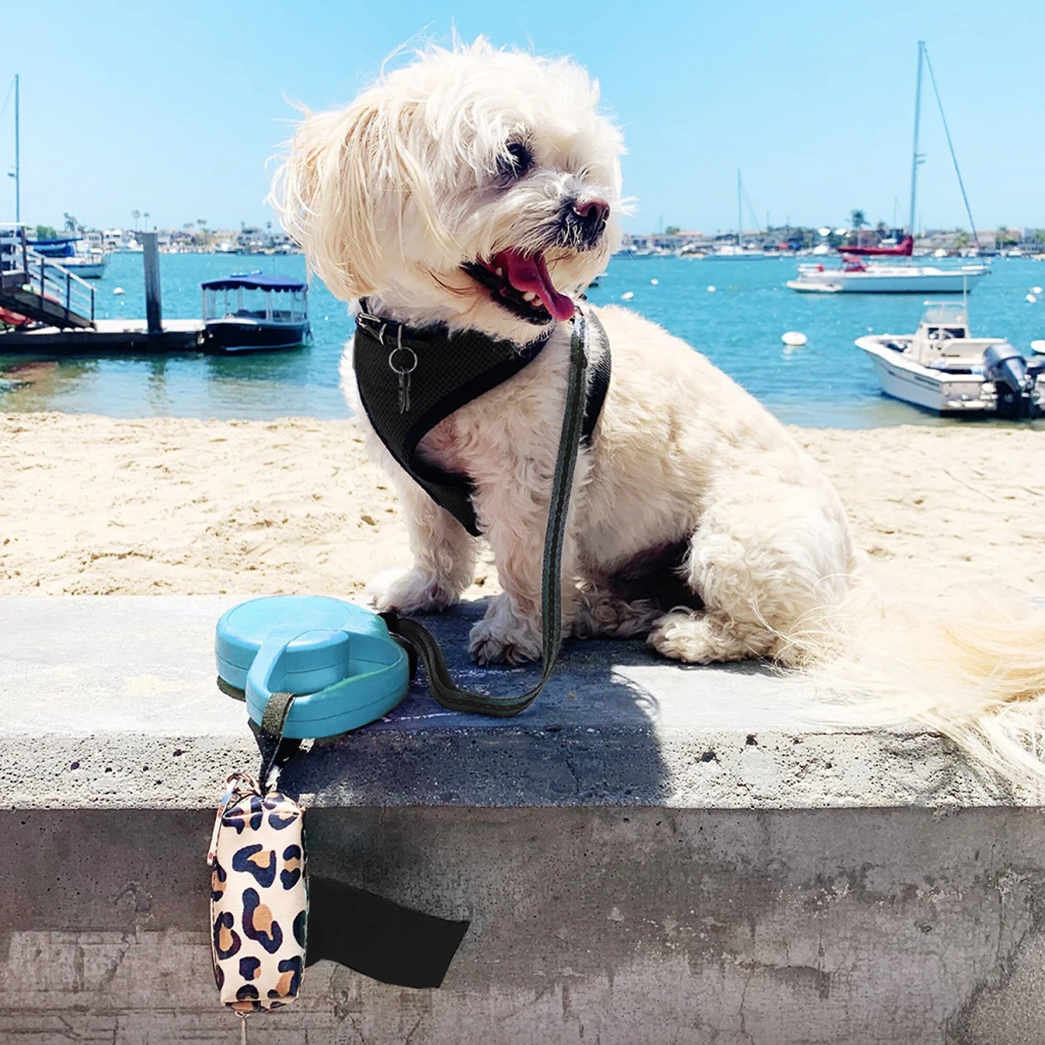 Doggie Walk Bags Uncented Tie Handle Dog Poop Bags, Black, 72 Count 4 Doggie Walk Bags Uncented Tie Handle Dog Poop Bags, Black, 72 Count - Image 2