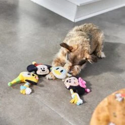 Disney Mickey Mouse & Friends Birthday Plush With Rope Squeaky Dog Toy -Dog Supplies Shop 265560 PT3. AC SS1800 V1625069558