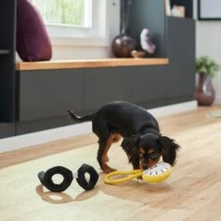 Frisco Magic Pocket Watch & Glasses Plush Squeaky Dog Toy, 2 Count 7 Frisco Magic Pocket Watch & Glasses Plush Squeaky Dog Toy, 2 Count -Dog Supplies Shop 265590 PT3. AC SS1800 V1620938935