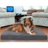 FurHaven Terry Deluxe Memory Foam Pillow Cat & Dog Bed With Removable Cover -Dog Supplies Shop 265749 MAIN. AC SS1800 V1609374764