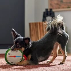 Frisco Camping Compass Plush With Rope Squeaky Dog Toy -Dog Supplies Shop 271020 PT3. AC SS1800 V1625008965