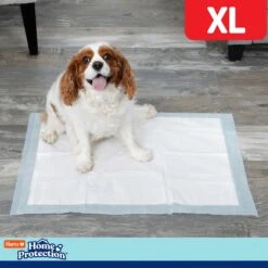 Hartz Home Protection Mountain Fresh Scent Odor Eliminating Dog Pads, X-Large -Dog Supplies Shop 276072 PT5. AC SS1800 V1695757264