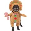 Frisco Front Walking Gingerbread Dog & Cat Costume -Dog Supplies Shop 276156 MAIN. AC SS1800 V1631659697