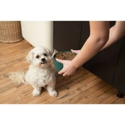 Waggo Ripple Solid Ceramic Dog & Cat Bowl -Dog Supplies Shop 277046 PT2. AC SS1800 V1698093466