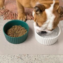 Waggo Ripple Solid Ceramic Dog & Cat Bowl -Dog Supplies Shop 277046 PT4. AC SS1800 V1698094807