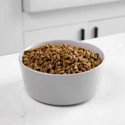 Waggo Simple Solid Ceramic Dog & Cat Bowl -Dog Supplies Shop 277061 PT2. AC SS1800 V1697132261