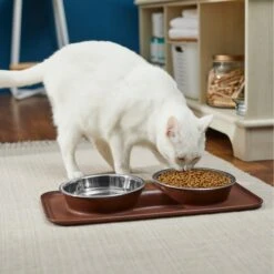 Frisco Silicone Stainless Steel Double Diner Dog & Cat Bowl, Brown 12 Frisco Silicone Stainless Steel Double Diner Dog & Cat Bowl, Brown -Dog Supplies Shop 277551 PT3. AC SS1800 V1630348104
