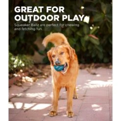 Outward Hound Squeaker Balls Small Dog Toys, 8 Count -Dog Supplies Shop 278085 PT3. AC SS1800 V1636516946