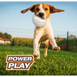 Nylabone Power Play Gripz Soccer Ball Dog Toy -Dog Supplies Shop 278152 PT8. AC SS1800 V1653398810