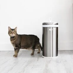 Ubbi® Ubbi Stainless Steel Dog & Cat Waste Pail -Dog Supplies Shop 279122 PT4. AC SS1800 V1678378358