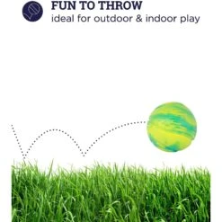 Petstages Grunt N Punt Squeaky Tennis Ball Dog Toy 11 Petstages Grunt N Punt Squeaky Tennis Ball Dog Toy -Dog Supplies Shop 280172 PT2. AC SS1800 V1636516881