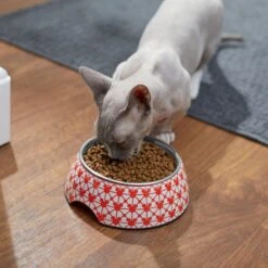 Disney Mickey Mouse Red Deco Stainless Steel & Melamine Dog & Cat Bowl 10 Disney Mickey Mouse Red Deco Stainless Steel & Melamine Dog & Cat Bowl -Dog Supplies Shop 280617 PT3. AC SS1800 V1629986559