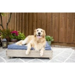 La-Z-Boy Bailey Indoor/Outdoor Sofa Dog Bed -Dog Supplies Shop 280882 PT3. AC SS1800 V1616622387