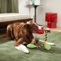 Frisco Holiday Lights Plush With Rope Squeaky Dog Toy 9 Frisco Holiday Lights Plush With Rope Squeaky Dog Toy -Dog Supplies Shop 287109 PT3. AC SS1800 V1632775707