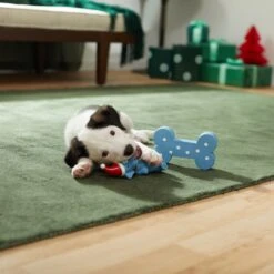 Frisco Blue Bundle Latex Squeaky Puppy Toy, 2 Count 9 Frisco Blue Bundle Latex Squeaky Puppy Toy, 2 Count -Dog Supplies Shop 287185 PT3. AC SS1800 V1632775643