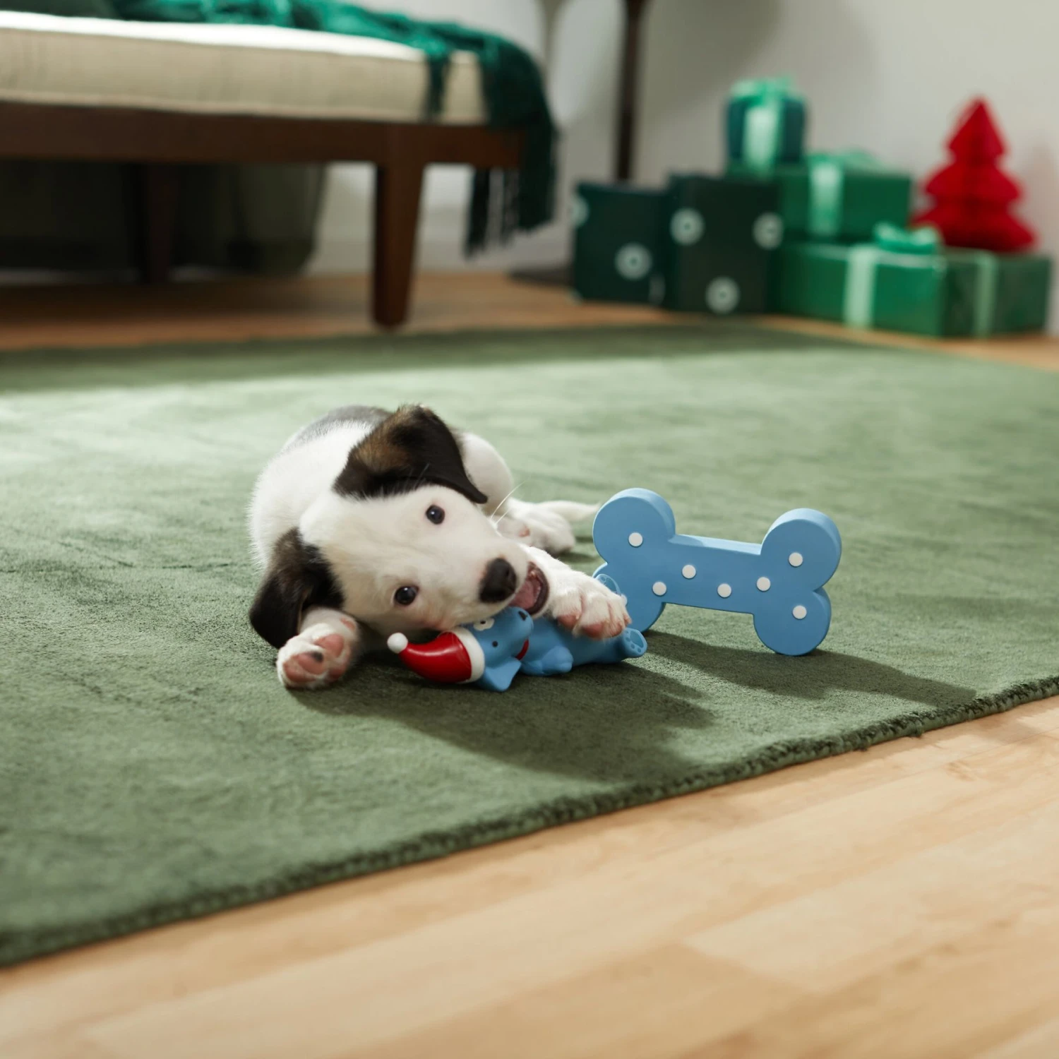 Frisco Blue Bundle Latex Squeaky Puppy Toy, 2 Count 5 Frisco Blue Bundle Latex Squeaky Puppy Toy, 2 Count - Image 3