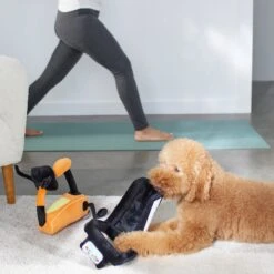 Frisco Treadmill & Bike Plush Squeaky Dog Toy, 2 Count 7 Frisco Treadmill & Bike Plush Squeaky Dog Toy, 2 Count -Dog Supplies Shop 288921 PT3. AC SS1800 V1638290517