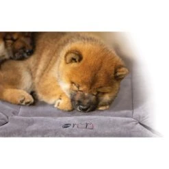 K&H Pet Products Mother's Heartbeat Fleece Puppy Crate Pad 19 K&H Pet Products Mother's Heartbeat Fleece Puppy Crate Pad -Dog Supplies Shop 296525 PT8. AC SS1800 V1627946893