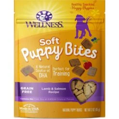 KONG Puppy Flyer Dog Toy, Color Varies & Wellness Soft Puppy Bites Lamb & Salmon Recipe Grain-Free Natural Dog Treats -Dog Supplies Shop 298190 PT5. AC SS1800 V1623193942