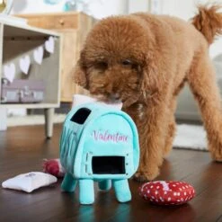 Frisco Valentine Love Letters Hide & Seek Puzzle Plush Squeaky Dog Toy -Dog Supplies Shop 298929 PT3. AC SS1800 V1638987486