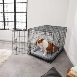Frisco Fold & Carry Double Door Collapsible Wire Dog Crate & Mat Kit & Frisco Stainless Steel Bowl -Dog Supplies Shop 303428 PT4. AC SS1800 V1623089543