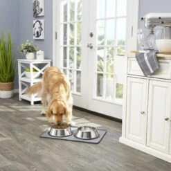 Frisco Fold & Carry Double Door Collapsible Wire Dog Crate & Mat Kit & Frisco Stainless Steel Bowl -Dog Supplies Shop 303428 PT7. AC SS1800 V1623045760