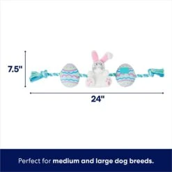 Frisco Easter Bunny & Egg Plush With Rope Dog Toy -Dog Supplies Shop 304970 PT1. AC SS1800 V1700243716