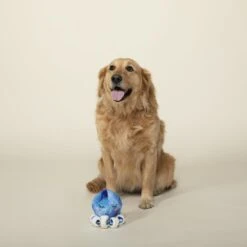 Pet Shop By Fringe Studio You Octopi My Heart Squeaky Plush Dog Toy 7 Pet Shop By Fringe Studio You Octopi My Heart Squeaky Plush Dog Toy -Dog Supplies Shop 306627 PT2. AC SS1800 V1623275881