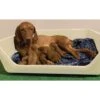 Shirley K's Whelping Dog Box -Dog Supplies Shop 308760 MAIN. AC SS1800 V1635896281