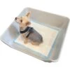 Shirley K's Indoor Dog Potty Tray, X-Large -Dog Supplies Shop 308762 MAIN. AC SS1800 V1661896634