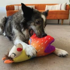 KONG Ballistic Vibez Llamas Squeaky Plush Dog Toy 9 KONG Ballistic Vibez Llamas Squeaky Plush Dog Toy -Dog Supplies Shop 308799 PT2. AC SS1800 V1633034870