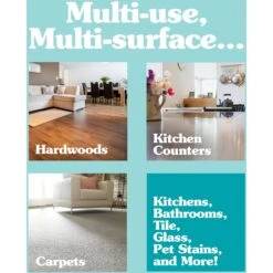 Simple Solution Instant Orange Odor & Stain Eliminator Concentrate, 8-oz Bottle -Dog Supplies Shop 310972 PT5. AC SS1800 V1625002389