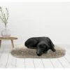 Canine Creations Orthopedic Pillow Dog Bed 2 Canine Creations Orthopedic Pillow Dog Bed -Dog Supplies Shop 311062 MAIN. AC SS1800 V1641621386