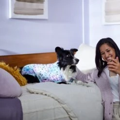 Disney Mickey & Friends Tie Dye Dog & Cat Jersey PJs -Dog Supplies Shop 311817 PT8. AC SS1800 V1643323767