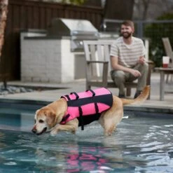 Frisco Ripstop Dog Life Jacket, Pink -Dog Supplies Shop 312380 PT8. AC SS1800 V1649275938