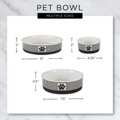 Bone Dry Show Set Dog Bowl -Dog Supplies Shop 313437 PT2. AC SS1800 V1631764623